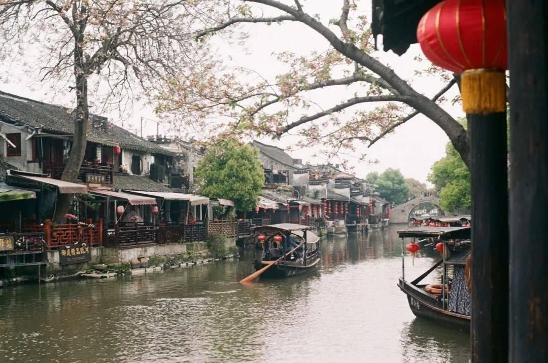 动物帮帮忙保卫家园